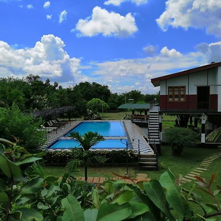 Eco Hotel Black & White - Anuradhapura Mihintale Bagian luar foto