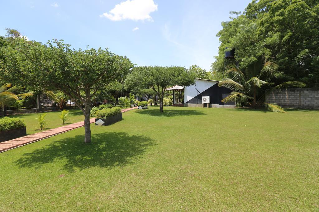 Eco Hotel Black & White - Anuradhapura Mihintale Bagian luar foto